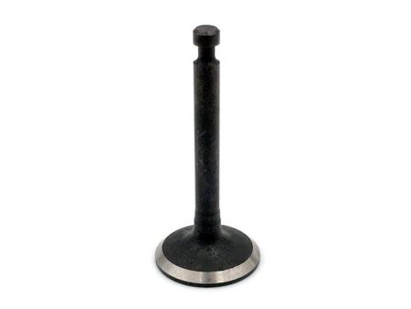 NGH GF30 GF38 Intake Valve For Sale