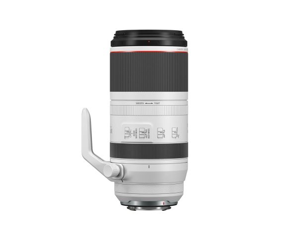 Canon RF 100-500mm F4.5-7.1 L IS USM Telephoto Zoom Lens Online Sale