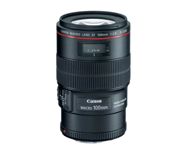 Canon EF 100mm f 2.8L Macro IS USM Lens Hot on Sale