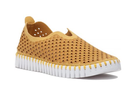 TULIP SNEAKER GOLDEN ROD Cheap