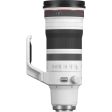 Canon RF 100-300mm f 2.8 L IS USM Lens Online