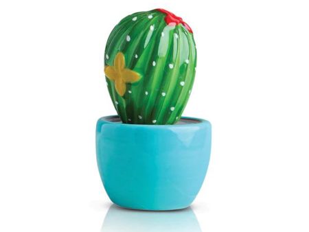 CACTUS MINI Hot on Sale