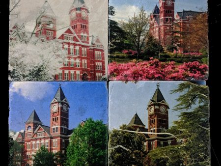 Seasons of Samford coaster set Online now